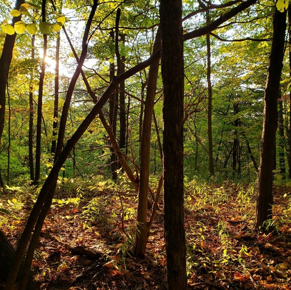 Meet your Posher, Daniel - Picture 1 of 1